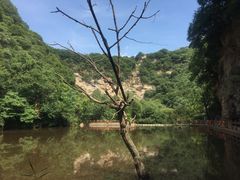 -少华山国家森林公园