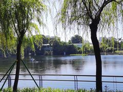 -东山湖公园