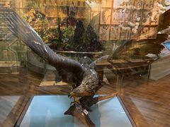 -陕西自然博物馆