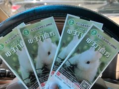 -秦皇岛野生动物园