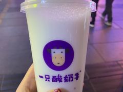 -一只酸奶牛(八一路店)