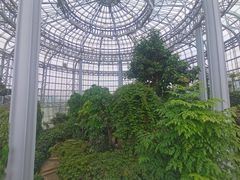 -郑州植物园