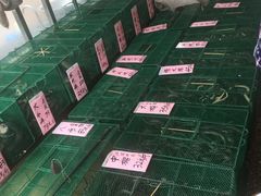 -荔城生鲜盛宴(番禺旗舰店)