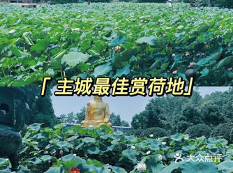 古老的寺庙香火旺盛。打卡攻略：完全免票的景点