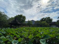 -上海醉白池公园