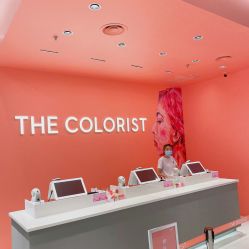 -THE COLORIST调色师