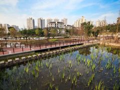 -沐仙湖湿地公园