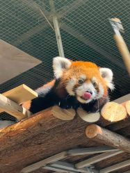 -Zoolung Zoolung动物主题公园(海信广场店)