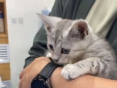 -佑安动物医院·全科·内窥镜中心(幸福巷店)