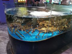 -蟹之国·精品蟹料理(极地店)