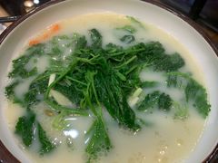 -喜上喜鸡煲翅(吉大店)