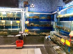 水产区-蚝专家(北滘店)