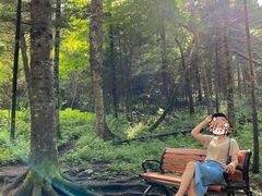 -五营红松林海景区