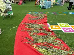 -爱彼格林珑悦幼儿园