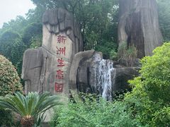 -新洲生态园