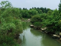 -八大山人梅湖景区