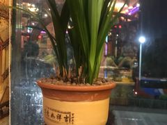 -缪氏川菜(第五园店)