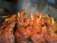 红柳烤肉-艾力江和田馕坑烤肉店
