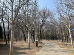 -太阳宫足球俱乐部
