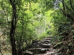 -莫干山风景区