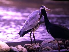 -奥斯卡西元国际影城(4K激光巨幕&杜比全景声沙发座椅)