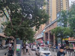 -后卫寨猫耳朵(后卫寨店)