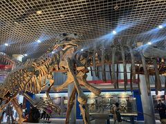 -国家自然博物馆