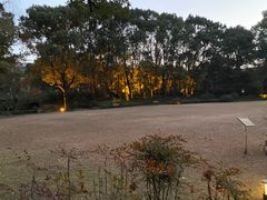 -申粤轩酒楼·三十年粤菜经典(丁香花园店)