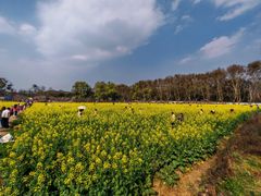 -花溪公园