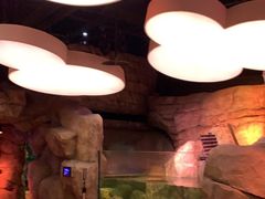 -沈阳海洋探索中心