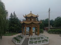 -东方巨龟苑景区