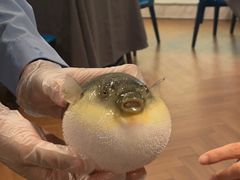 -肆月河豚·新淮扬(金融街店)