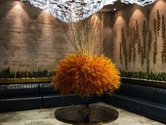 -海玥荟海鲜姿造自助餐厅(欧罗巴广场店)