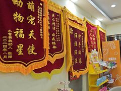 -天宠宠物医院24小时·急重症诊疗中心·全科·腔镜特色(和平分院)