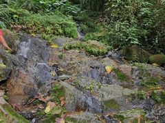 -广州市白云山风景名胜区