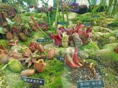 -国家植物园南园