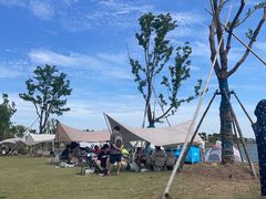 -南汇嘴观海公园