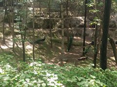 -青藏高原野生动物园