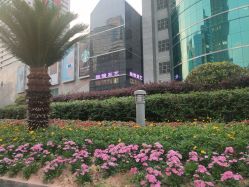 -丝情发艺 I SALON