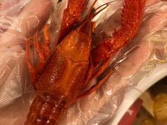 -霸王虾·麻辣小龙虾(清水河公园店)