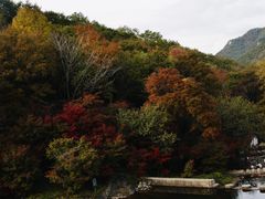 -龙道沟景区