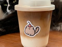 -有猫主题·治愈系猫咖(曾厝垵店)