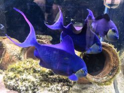 -Zoolung Zoolung动物主题公园(海信广场店)