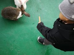 -黄龙溪欢乐田园
