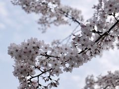 -龙美术馆(西岸馆)