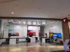 -TESLA 特斯拉(北京颐堤港体验店)