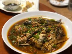-全乐鱼馆·淳牌有机鱼直营店
