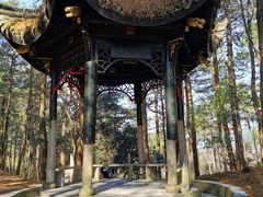 -四明山国家森林公园