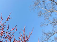 -广富林郊野公园