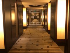 -北京首都机场希尔顿酒店